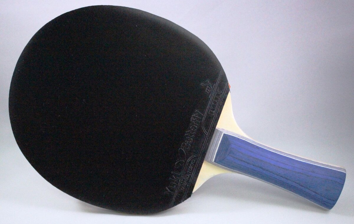 Butterfly Bty 201 FL Racket Set: Backside of the blade